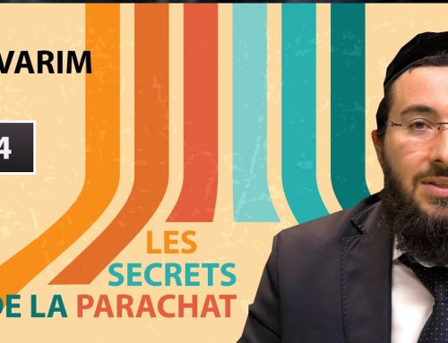 LES SECRETS DE LA PARACHAT – DEVARIM (44)