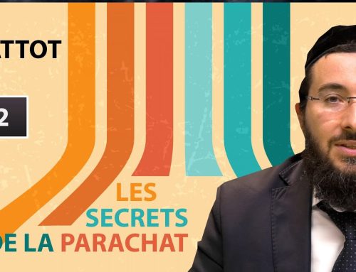 LES SECRETS DE LA PARACHAT – MATTOT (42)