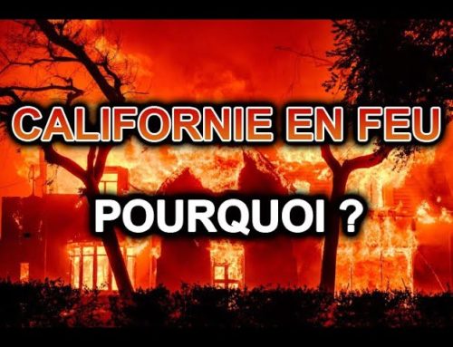 CALIFORNIE EN FEU… POURQUOI ? – Rav Itshak Attali