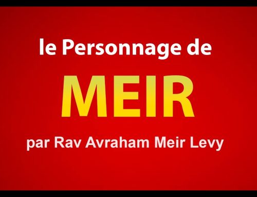 Le personnage de MEIR dans la Tanah – Rav Avraham Meir Levy