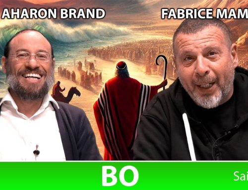 Sefer Chemot : PARACHAT BO (15) – Saison 4 – avec le duo Rav Brand et Fabrice