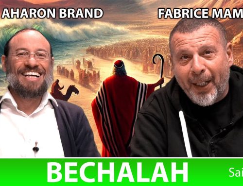 Sefer Chemot : PARACHAT BECHALAH (16) – Saison 4 – avec le duo Rav Brand et Fabrice