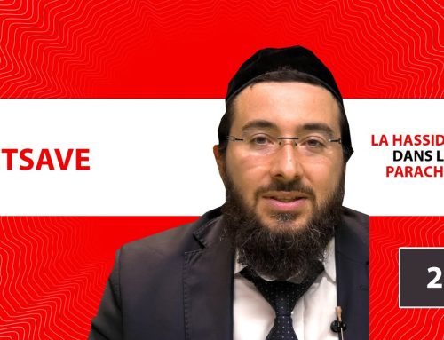 LA HASSIDOUT DANS LA PARACHAT – TETSAVE (20)